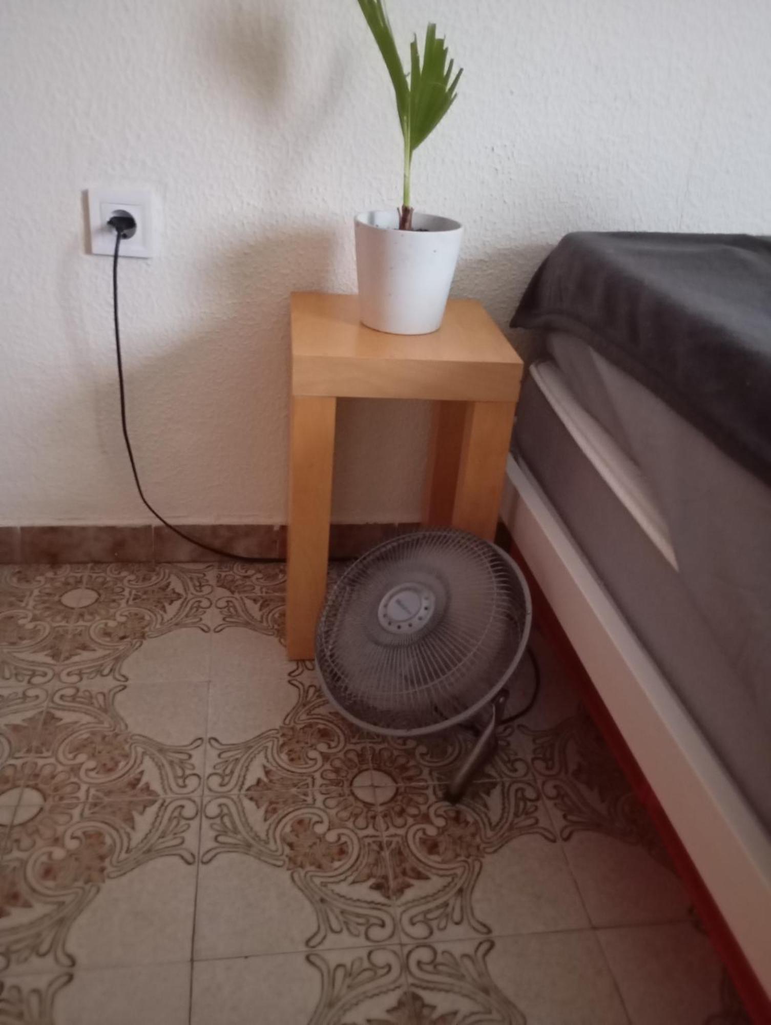 Grosses Modernes Zimmer "Silber" Fuer 2 Personen Und Katzenliebhaber Valencia Exteriör bild