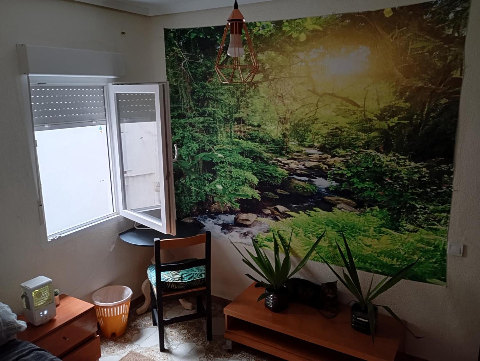 Grosses Modernes Zimmer "Silber" Fuer 2 Personen Und Katzenliebhaber Valencia Exteriör bild
