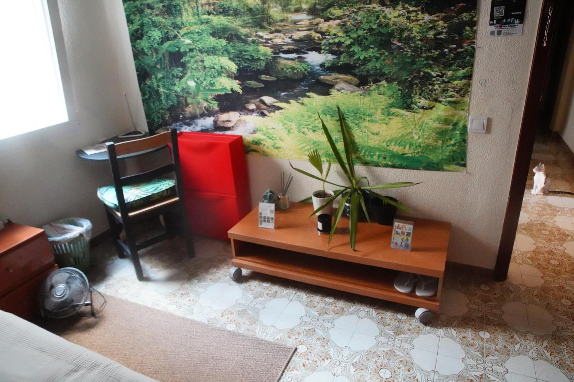 Grosses Modernes Zimmer "Silber" Fuer 2 Personen Und Katzenliebhaber Valencia Exteriör bild